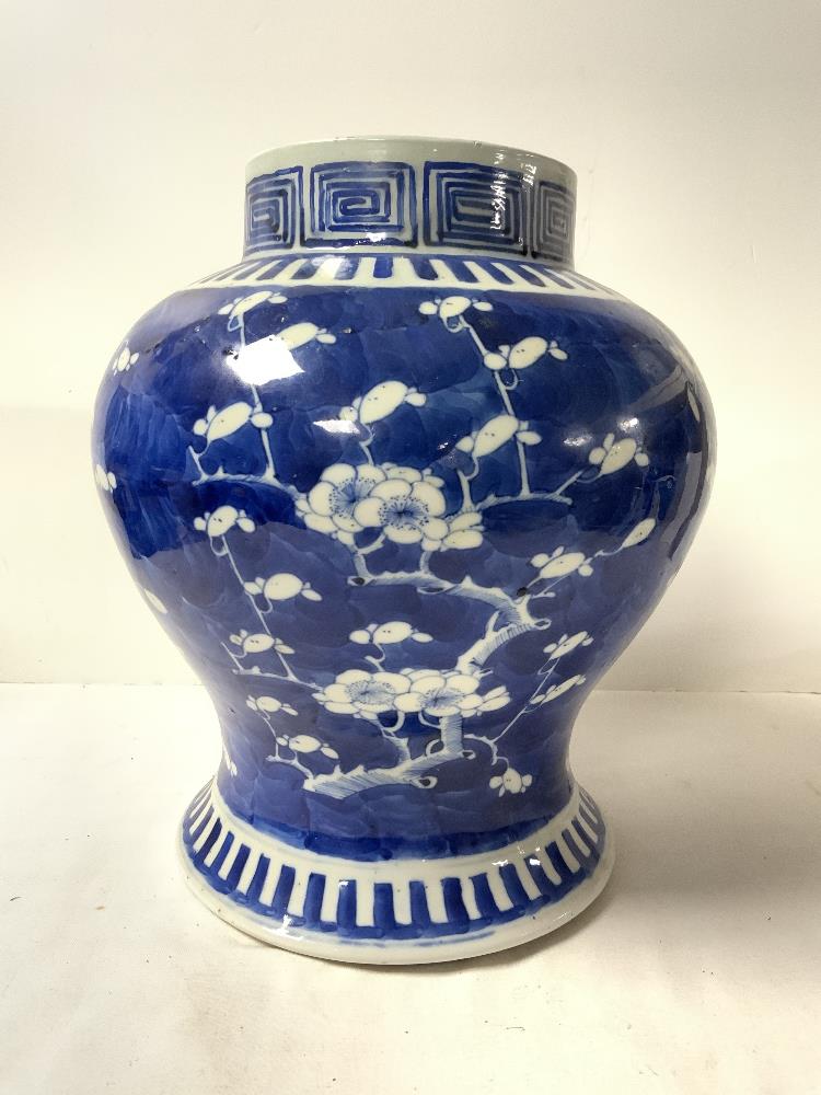 A NINETEENTH CENTURY ORIENTAL BLUE AND WHITE BLOSS - Image 2 of 5