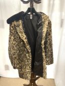 A WILD CAT FUR JACKET WITH BROWN FUR COLLAR.