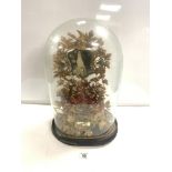 VICTORIAN DIORAMA GILDED BIRDS MIRRORS AND MORE A/F 52CM