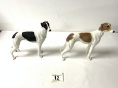 TWO COMPOSITE 2001 MODELS OF GREYHOUNDS, 15 CMS.