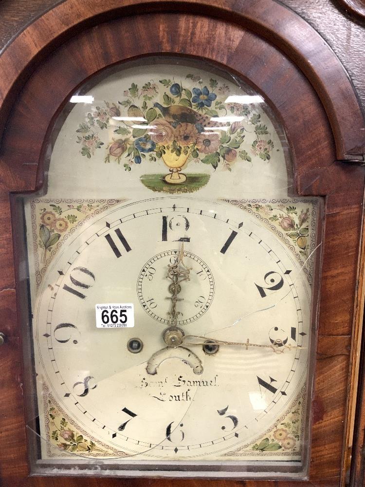 ANTIQUE OAK 8 DAY LONGCASE CLOCK WITH PAINTED BIRD AND FLORAL DIAL, MAKER S, SAMUEL, LOUTH, A/F. - Image 2 of 5