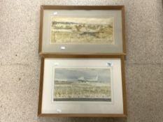 DAVID HOLT (ENGLAND) TWO SIGNED WATERCOLOUR DRAWINGS 1965 BOTH FRAMED AND GLAZED 57 X 40 CM