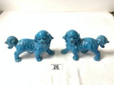 PAIR CHINESE TURQUOISE FO DOGS, 15X10 CMS.