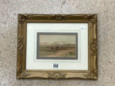 WATERCOLOUR STUDY OF CATTLE ON SAND DUNES AT NORFOLK, SIGNED C HARRINGTON, 19X11 CMS,