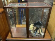 TWO ALBERONI COLLECTORS DOLLS IN DISPLAY CABINETS.