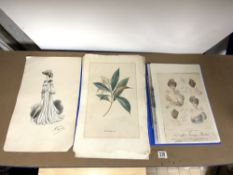 FOLDER OF FRENCH LA COIFFURE COLOURED PRINTS, AND COLOURED BOTANICAL PRINTS.