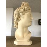 LARGE PLASTER BUST OF APOLLO, 50 CMS APPROX.