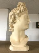 LARGE PLASTER BUST OF APOLLO, 50 CMS APPROX.