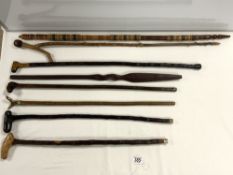 QUANTITY OF WALKING STICKS SPEAR AND MORE