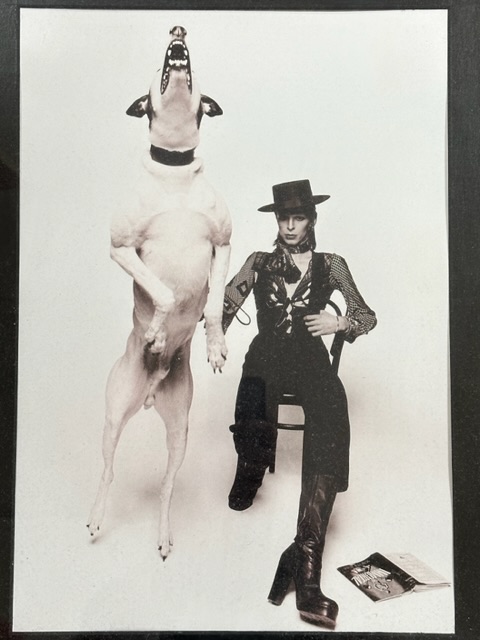A FRAMED PHOTOGRAPH OF DAVID BOWIE AND LEAPING DOG. - Image 2 of 3