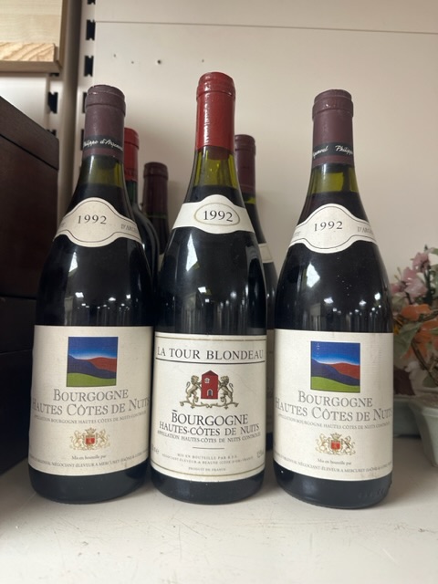 NINE BOTTLES OF VINTAGE BURGUNDY - TWO 1993 HAUTES COTES DE NUITS, THREE 1992, ONE 1998 LALANDE DE - Image 3 of 5