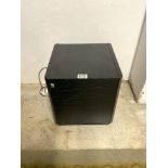 AMC B1 20 ACE BASS SUBWOOFER IN BLACK ASH CASING