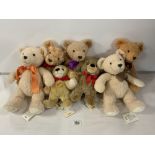 FIVE STEIFF COSY YEAR BEARS - 2015, 16, 18, 19 AND 2020, AND 2 STEIFF COSY TEDDY BOBBY BEARS,