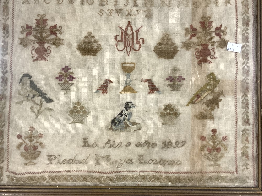 VICTORIAN SAMPLER DATED 1897 FRAMED AND GLAZED 64 X 67CM - Image 3 of 3