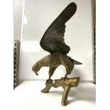 A CAST BRASS MODEL OF EAGLE ON BRANCH; 48X60 CMS APPROX.
