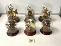 SIX BUTTERFLY SPRAYS UNDER GLASS DOMES; 17 CMS TALLEST.
