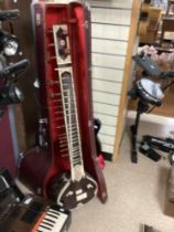 CASED BINA SITAR