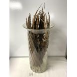 A TALL GLASS VASE CONTAINING FEATHERS; 46 CMS.