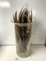 A TALL GLASS VASE CONTAINING FEATHERS; 46 CMS.