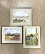 THREE ANNE ANTRAM SIGNED WATERCOLOURS ALL FRAMED AND GLAZED 52 X 43CM