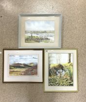 THREE ANNE ANTRAM SIGNED WATERCOLOURS ALL FRAMED AND GLAZED 52 X 43CM