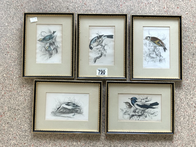 SET OF FIVE COLOURED PRINTS OF BIRDS, 10X14 CMS.