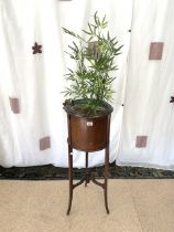 EDWARDIAN INLAID MAHOGANY CYLINDRICAL PLANTER, WITH COPPER LINER, 96 CMS.