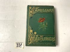 FAMILIAR WILD FLOWERS BY F.EDWARD HULME FROM THE THIRD SERIES WITH COLOURED PLATES
