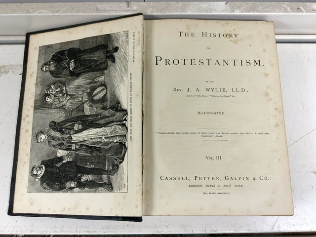 BOOKS - GLEANINGS FROM POPULAR AUTHORS,SCHILLERS WERKE AND HISTORY OF PROTESTANTISM - Image 5 of 5