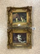 TWO OIL ON BOARDS OF CATS BOTH IN ORNATE GILDED FRAMES 27 X 23CM
