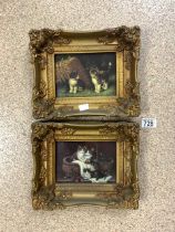 TWO OIL ON BOARDS OF CATS BOTH IN ORNATE GILDED FRAMES 27 X 23CM