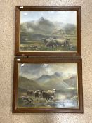 PAIR OF OILS ON BOARD OF HIGHLAND CATTLE IN MOUNTAINOUS LANDSCAPES 1 INDISTINCTLY SIGNED BOTH OAK