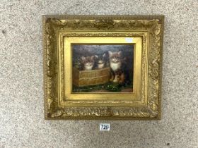 DAVID MILLER OIL ON BOARD OF CATS IN A GILDED FRAME CERT OF AUTH ON VERSO 45 X 39CM
