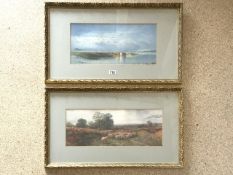 ONE UNSIGNED WATERCOLOUR, AND ONE OTHER PICTURE, BOTH FRAMED AND GLAZED 74 X 44CM