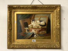 DAVID MILLER OIL ON BOARD OF CATS IN A ORNATE GILDED FRAME 60 X 50 CM ( CERT OF AUTH )