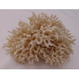 A piece of white coral, naturalistic form, 11 x 16 x 12cm