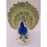 Meissen figurine of a Fan Tail Peacock, marks to the base, 23cm (h)