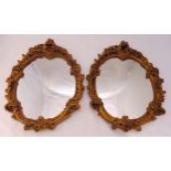 A pair of shaped oval gilded gesso wall mirrors, 62.5 x 47cm each