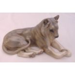 Royal Copenhagen Lioness (804) marks to the base, 16 x 31cm