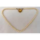 A single strand pearl necklace with 15ct yellow gold and diamond shell shaped clasp