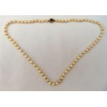 A single string pearl necklace with 9ct gold sapphire and pearl clasp