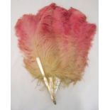 An early 20th century Ostrich feather fan with mother of pearl struts, 57cm (l)