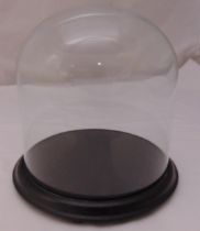 A glass dome and circular wooden base, 33 x 33cm