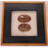 A framed and glazed pair of coffee pods, 31.5 x 31.5cm