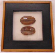 A framed and glazed pair of coffee pods, 31.5 x 31.5cm