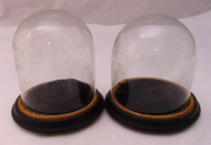 A pair of Victorian glass display domes on raised circular wooden bases, 17cm (h)