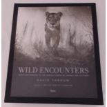 A presentation book by David Yarrow titled Wild Encounters, iconic photograph of the world of