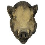 A concrete study of a boar's head, H31cm, D33cm