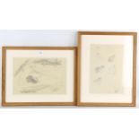 Raymond Sheppard, 2 sheets of pencil sketches, newts and frogs, 24cm x 34cm, Exhibition labels