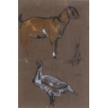 Arthur Wardle (1864 - 1949), farm animal studies, pastel/chalk on brown paper, 29cm x 20cm, framed